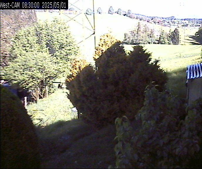 Westen_20250501_083000M.jpg