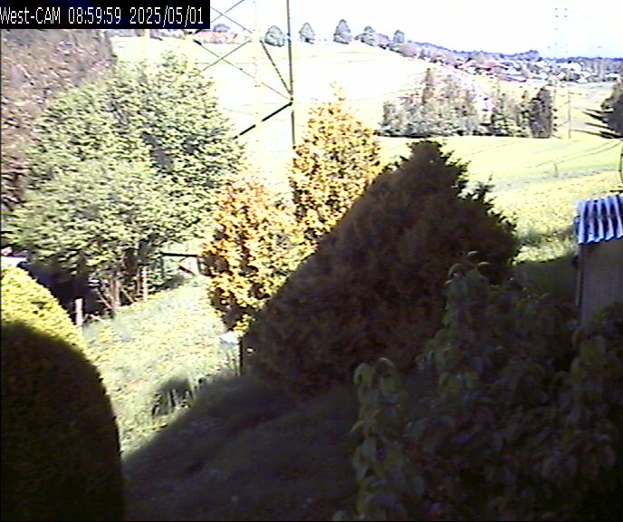 Westen_20250501_085959M.jpg