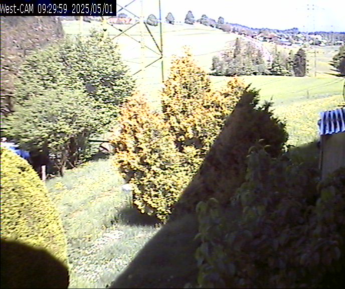 Westen_20250501_092959M.jpg