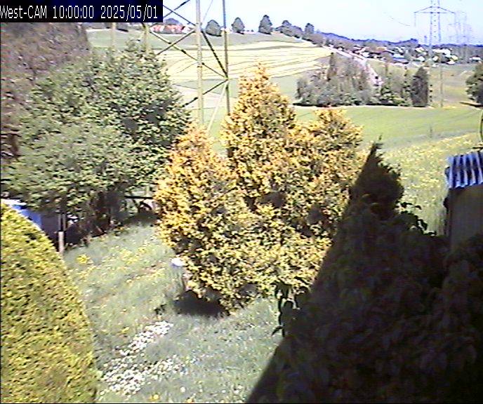 Westen_20250501_100000M.jpg