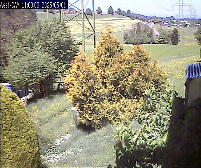 Westen_20250501_110000M.jpg
