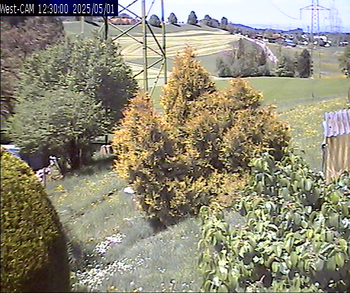 Westen_20250501_123000M.jpg