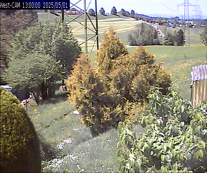 Westen_20250501_130000M.jpg