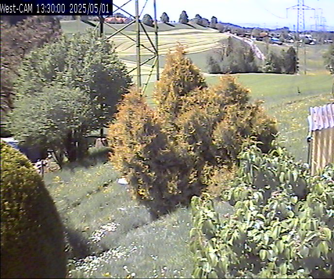 Westen_20250501_133000M.jpg