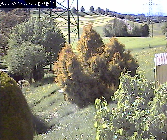 Westen_20250501_152959M.jpg