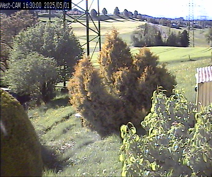 Westen_20250501_163000M.jpg