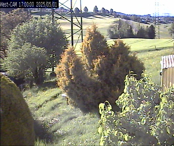Westen_20250501_170000M.jpg